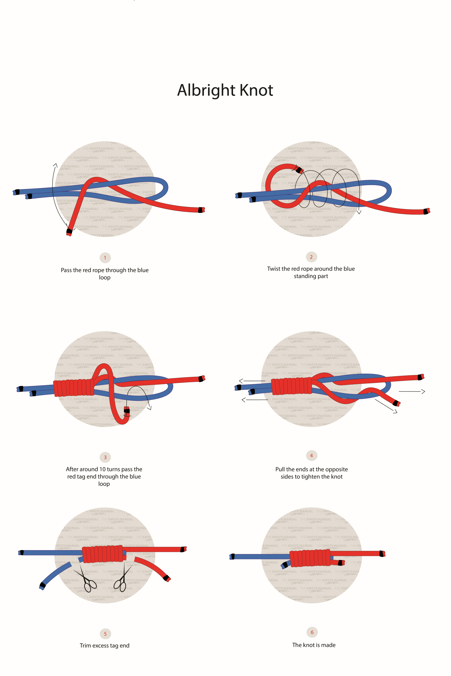 Albright Knot Step by Step