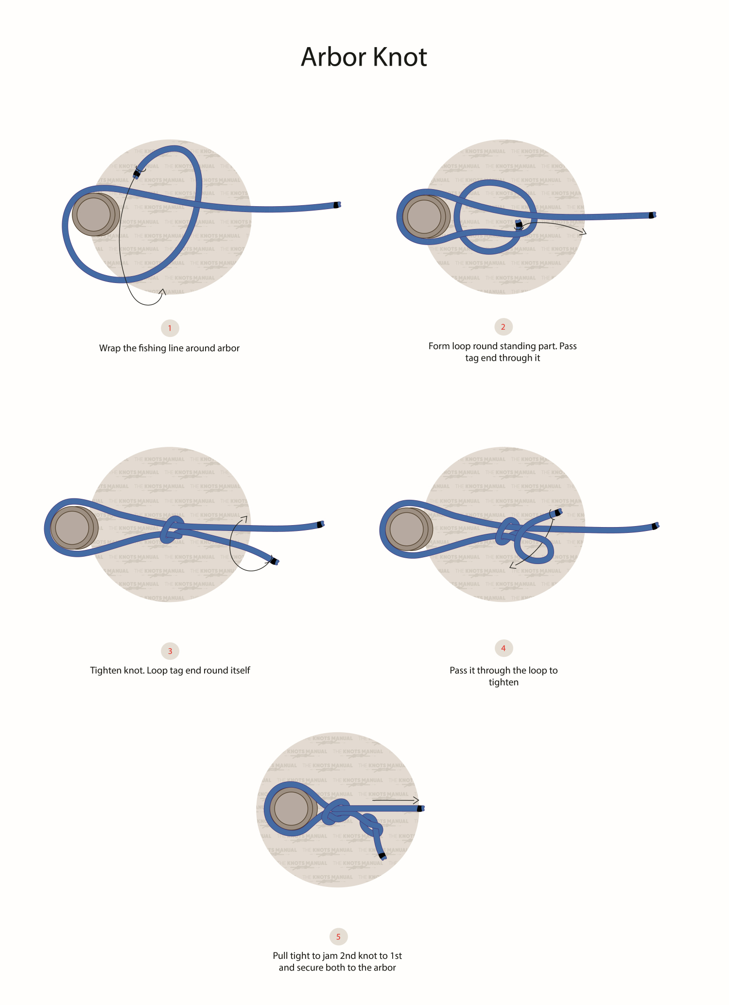 Arbor Knot Step by step