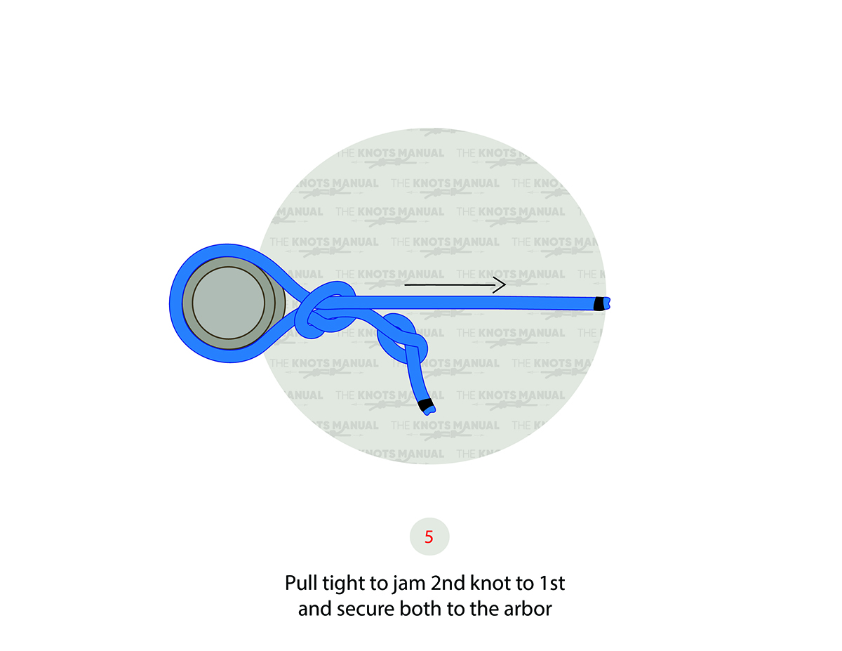 Arbor Knot Step 5