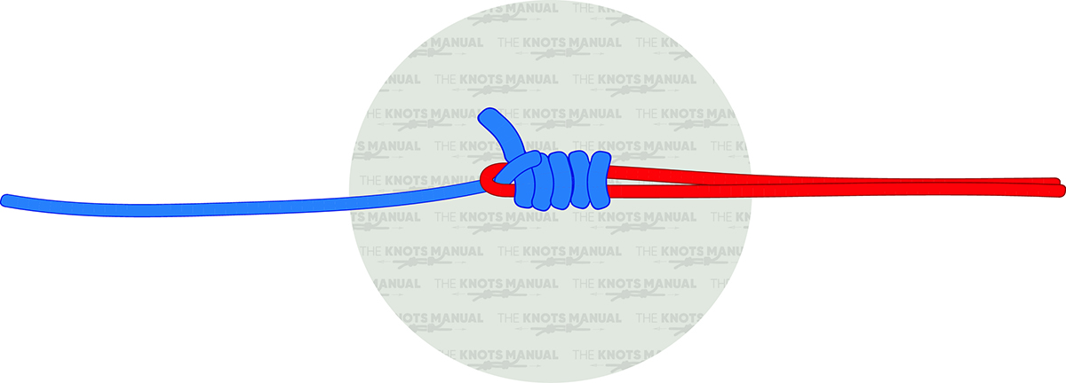 Bristol Knot