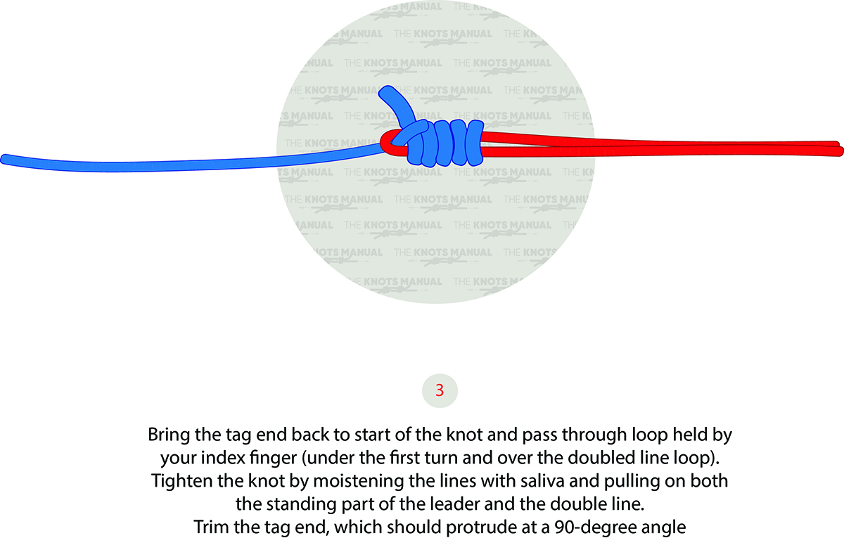 Bristol Knot Step 3