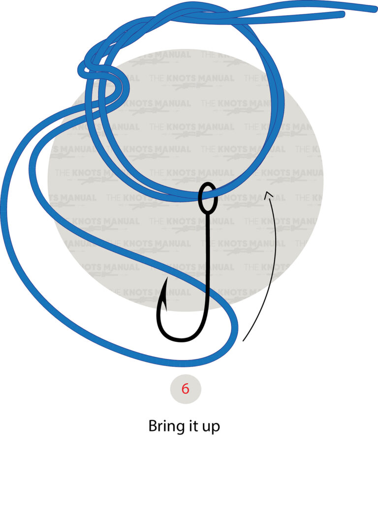Double Palomar Knot - The Knots Manual