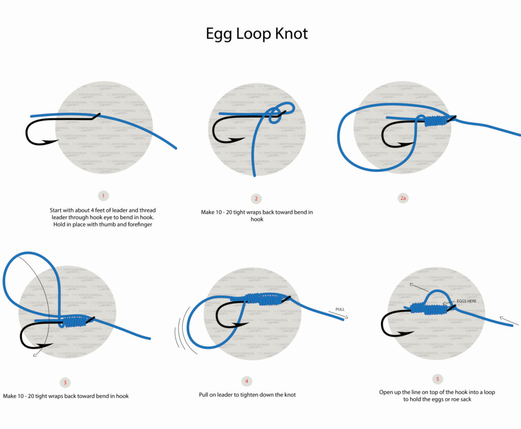 How to Tie an Egg Loop Knot The Knots Manual