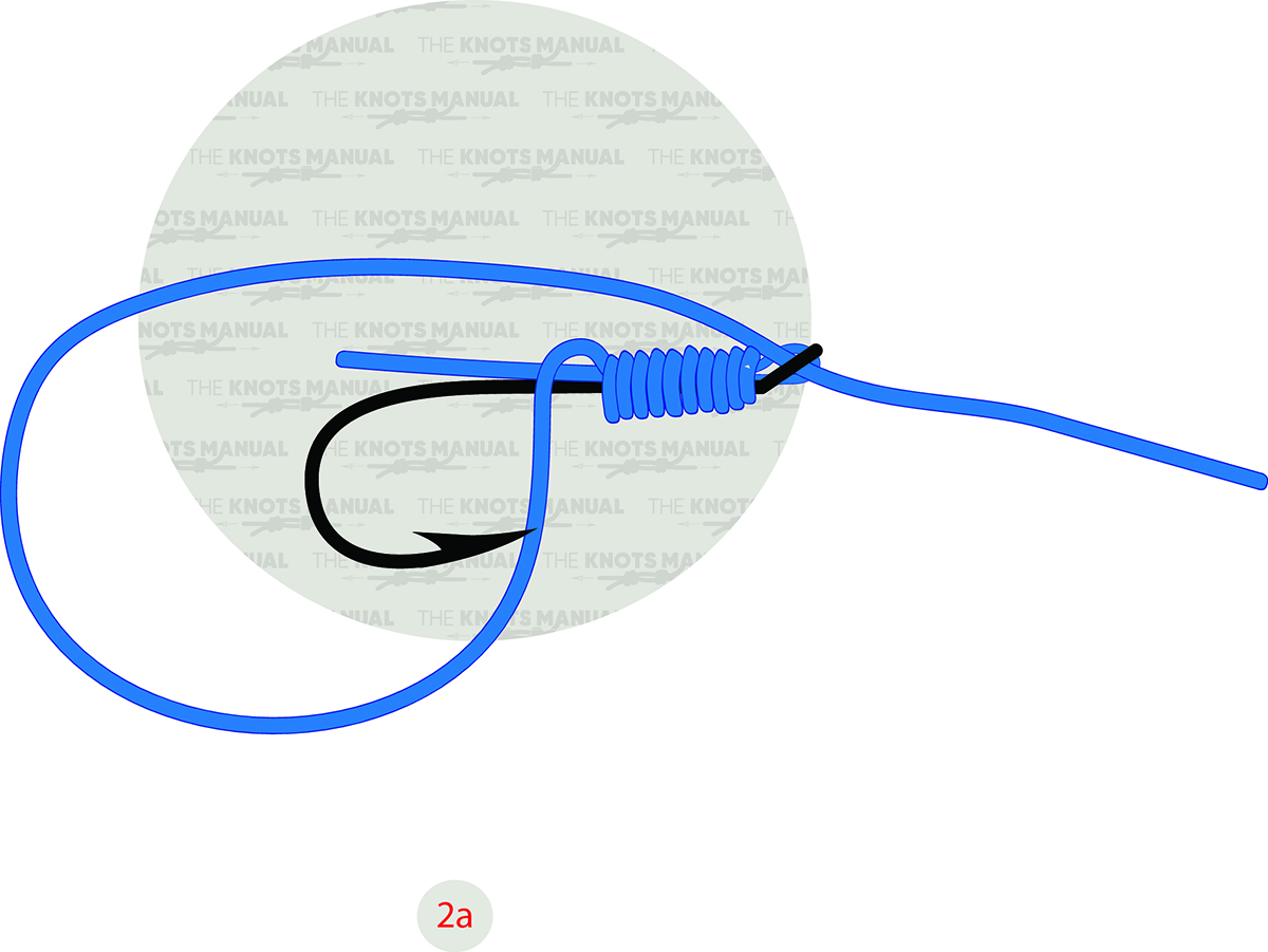 Egg Loop Knot Step 2a