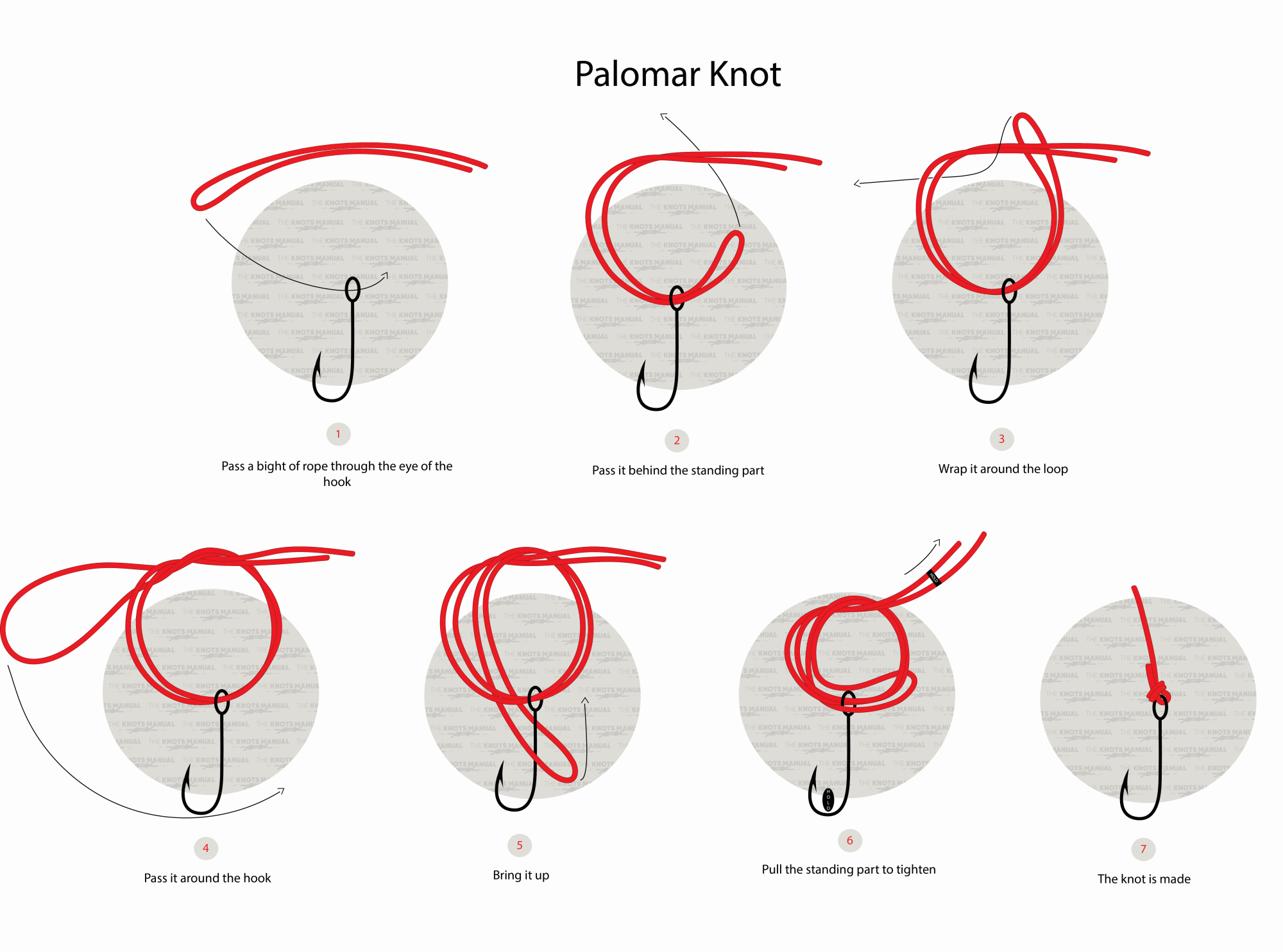 Plomar Knot Step by step