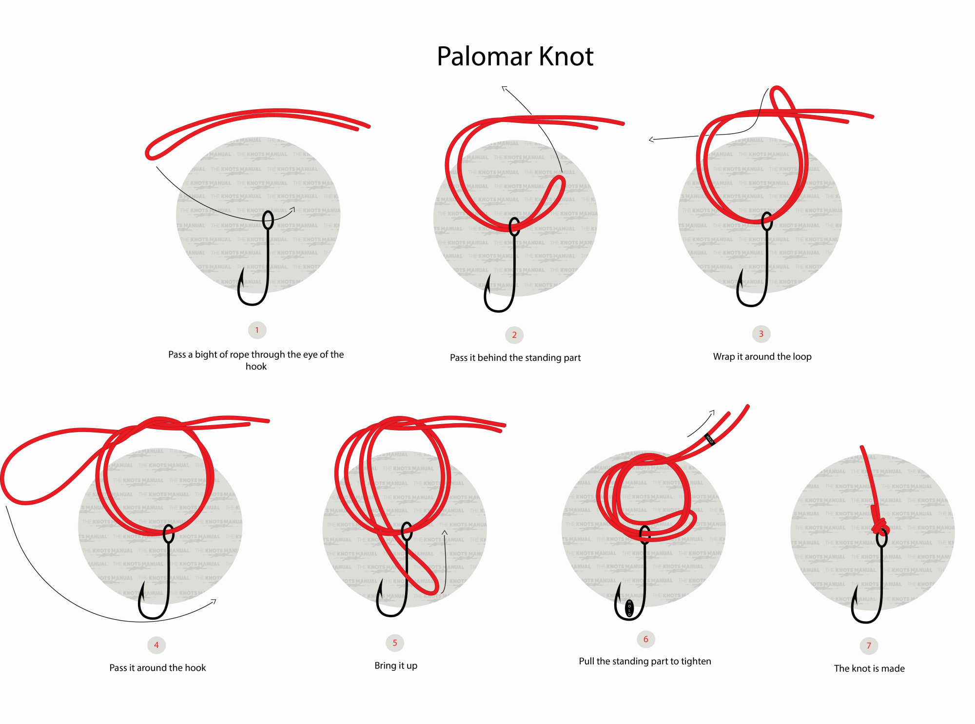 How to Tie the Palomar Knot (Illustrated Guide)