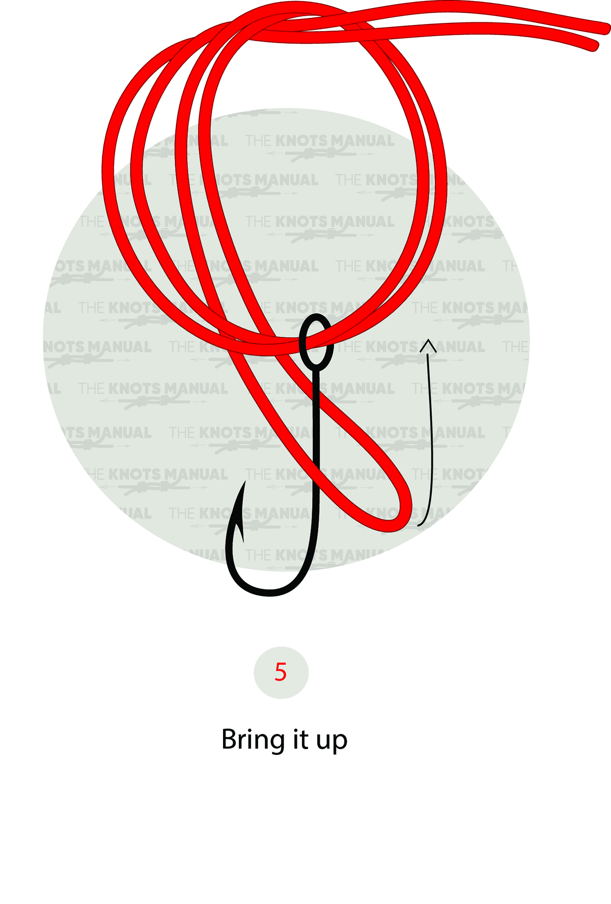 Plomar Knot Step 5