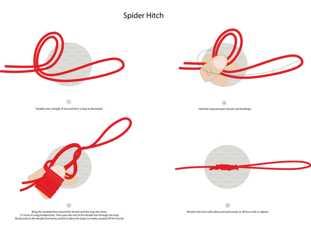 How to Tie a Spider Hitch Knot The Knots Manual