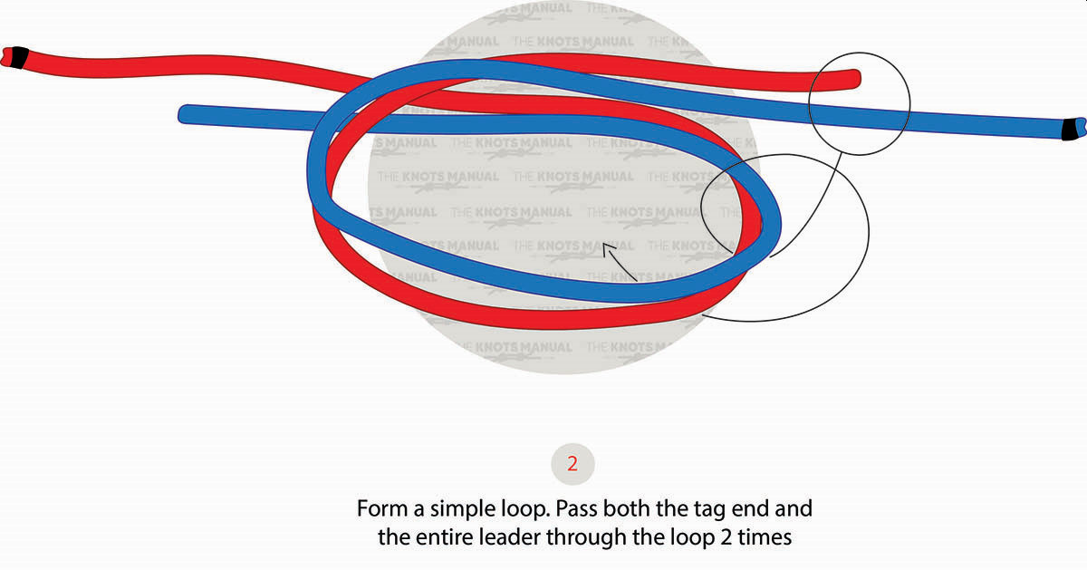 Surgeon’s Knot Step 2