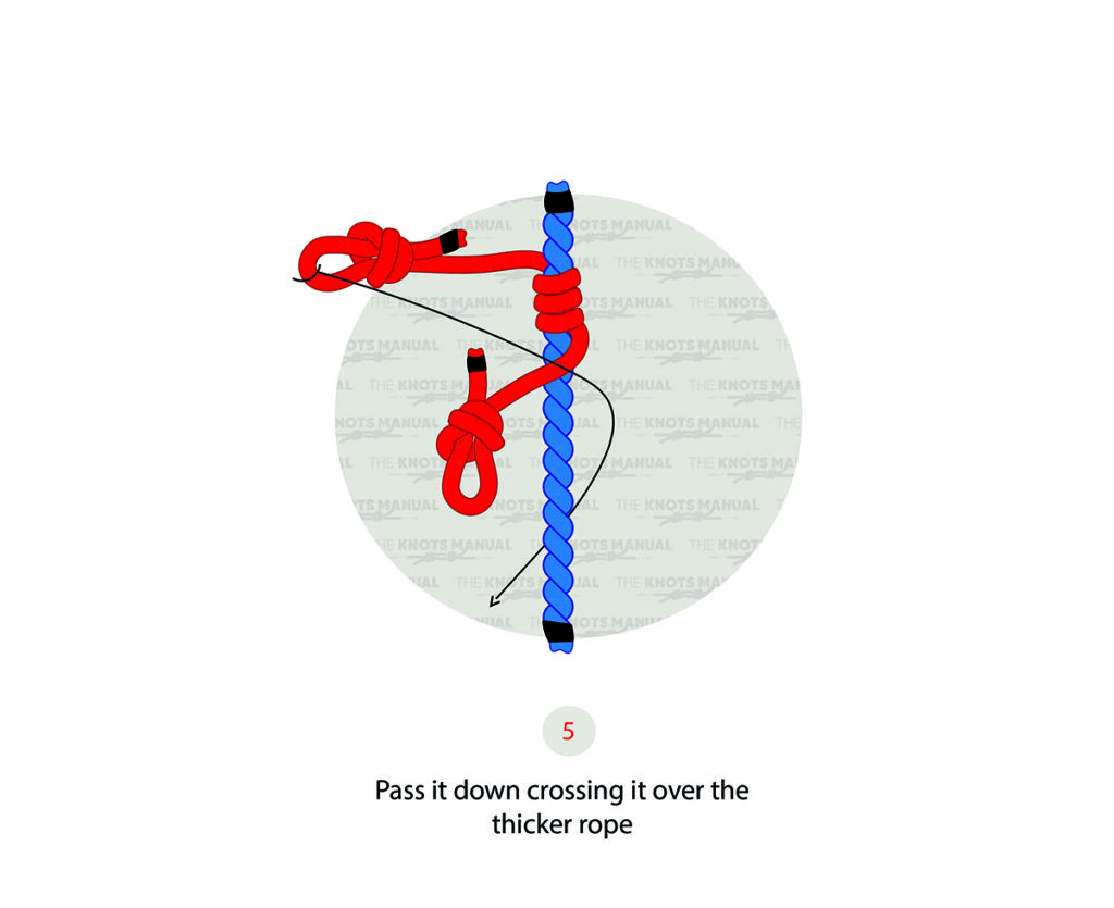 How to Tie a Distel Hitch Knot (Step-By-Step Illustrations)