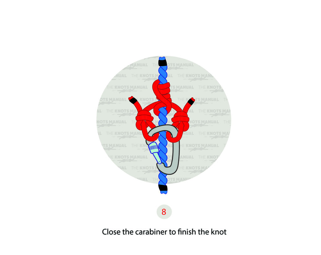 How to Tie a Distel Hitch Knot (StepByStep Illustrations)