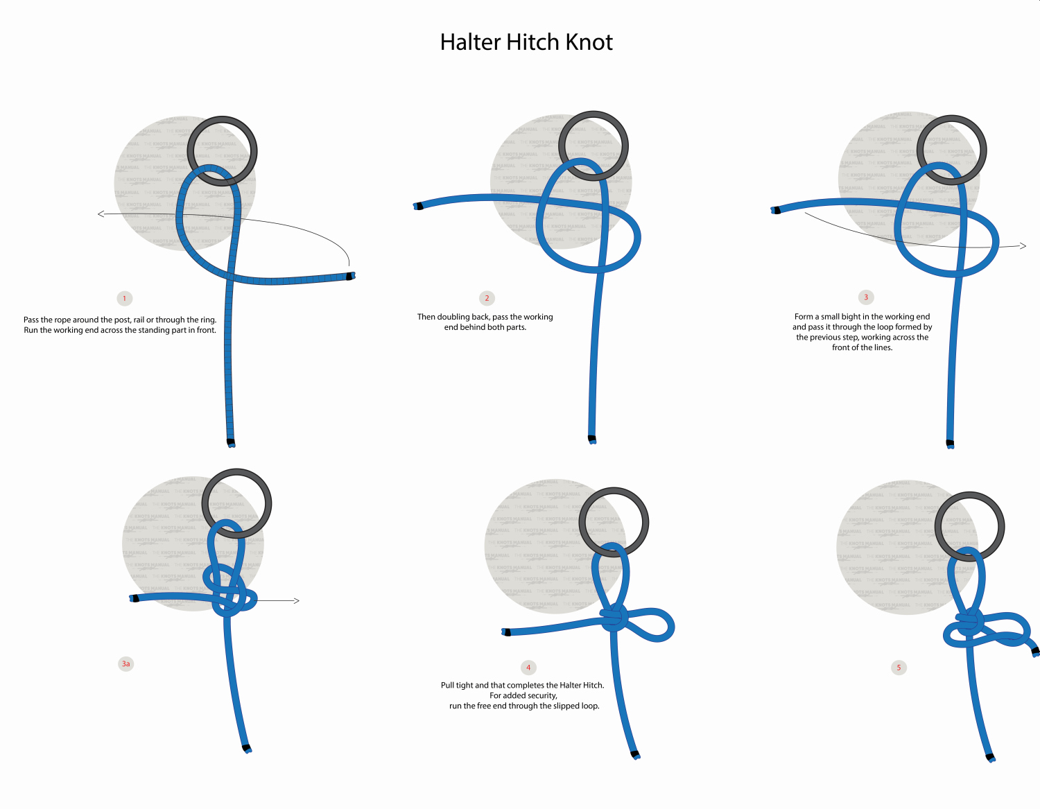 Halter Hitch Step by step