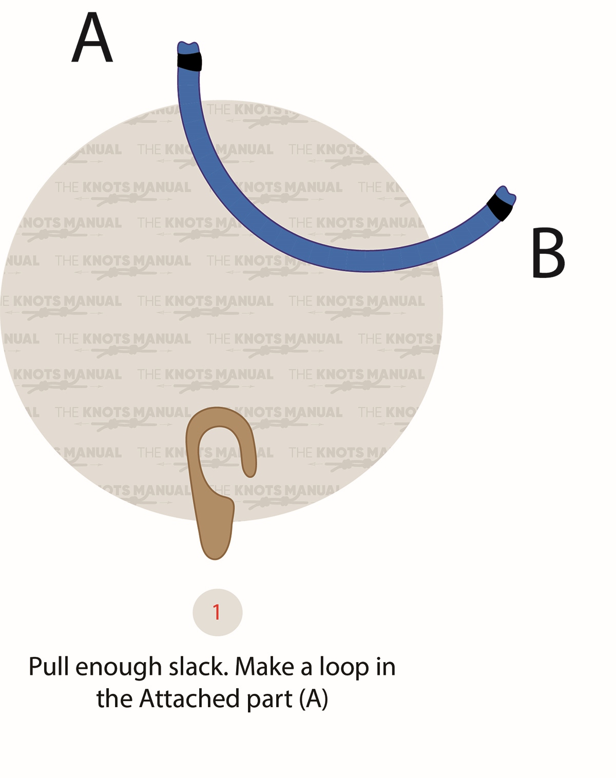 Trucker’s Hitch – Quick Release Step 1