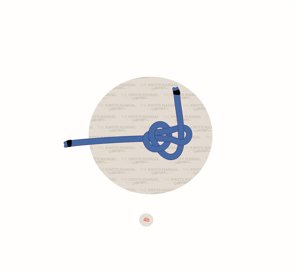 How to Tie the Ashley Stopper Knot (Quick Tutorial)