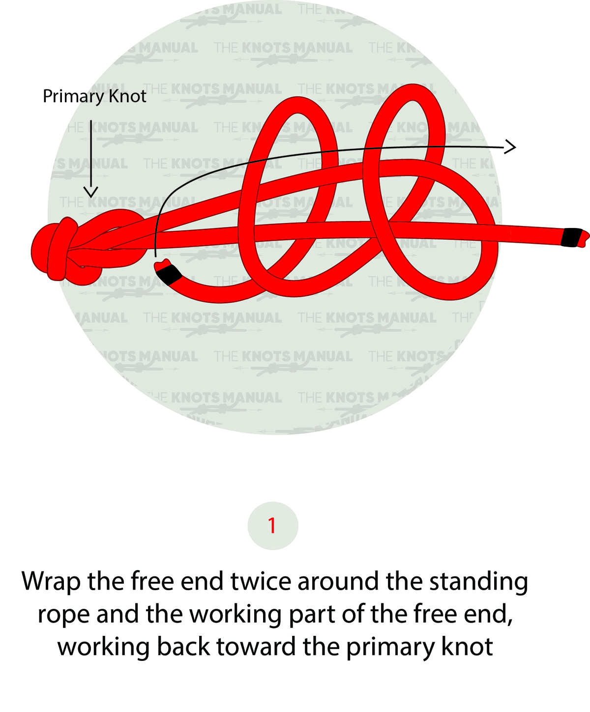 Backup Knot Step 1