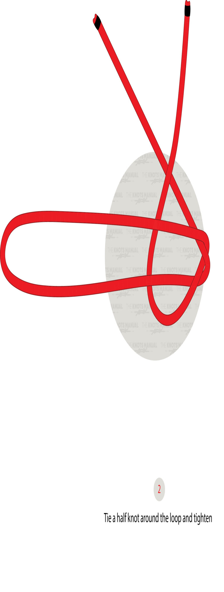 Cobra Lanyard Knot - The Knots Manual