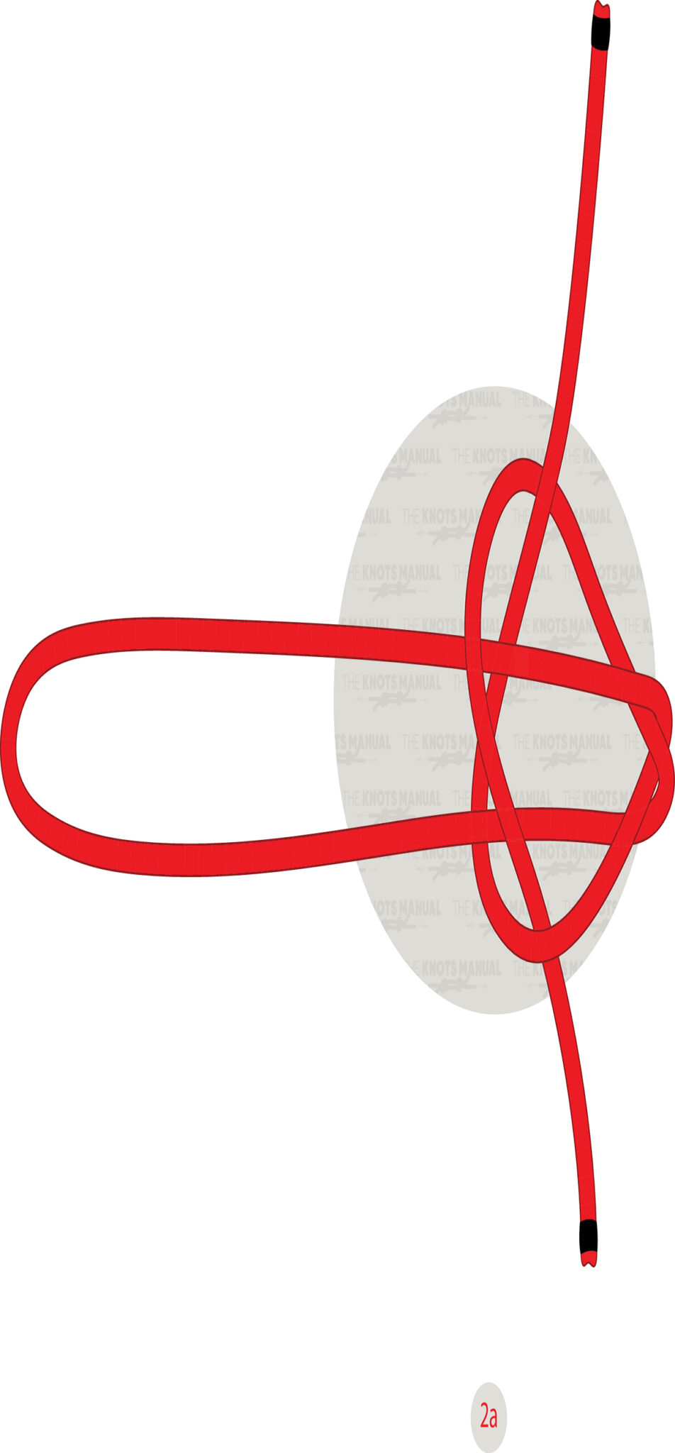 Cobra Lanyard Knot - The Knots Manual