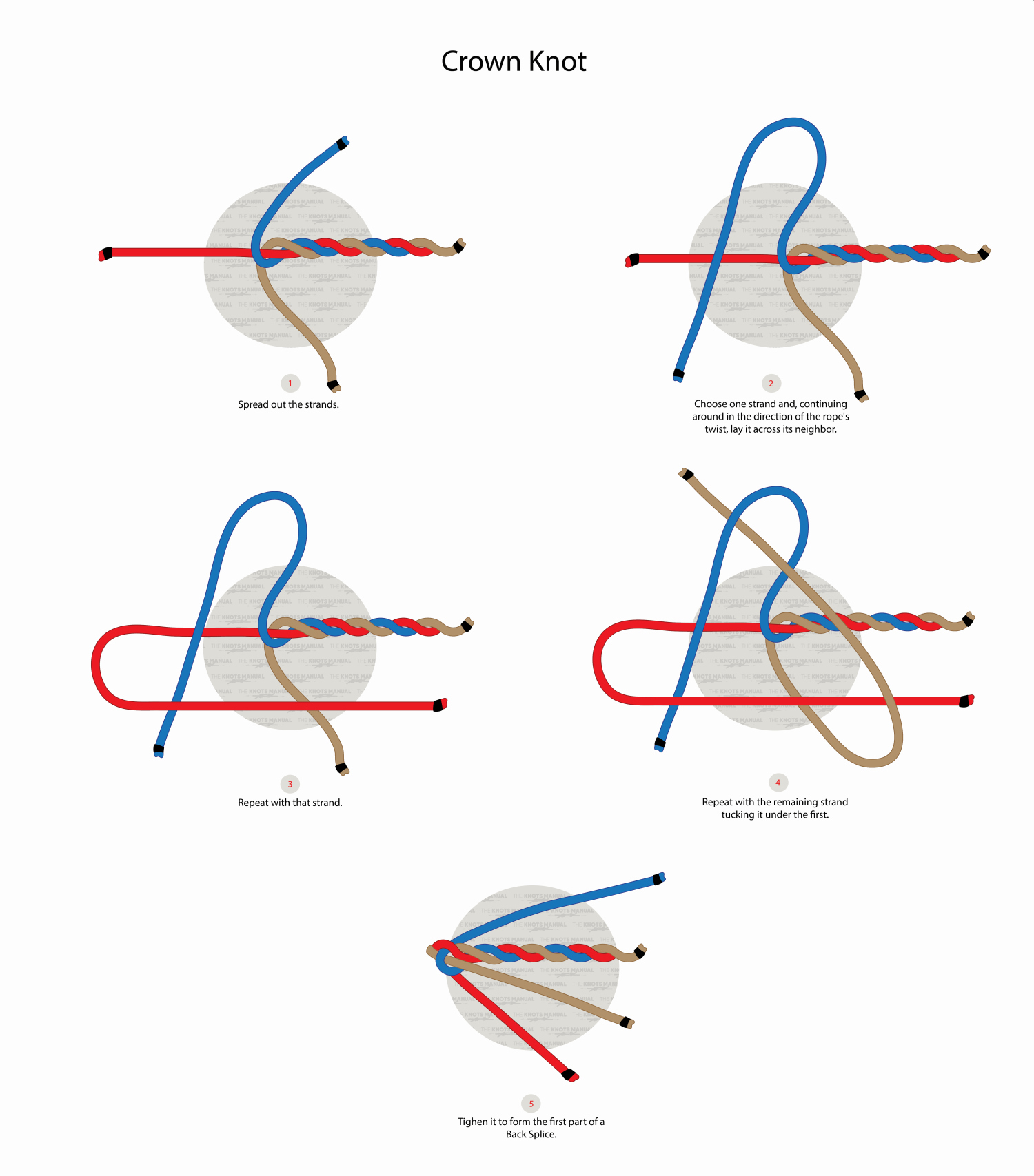 Crown Knot Step by Step