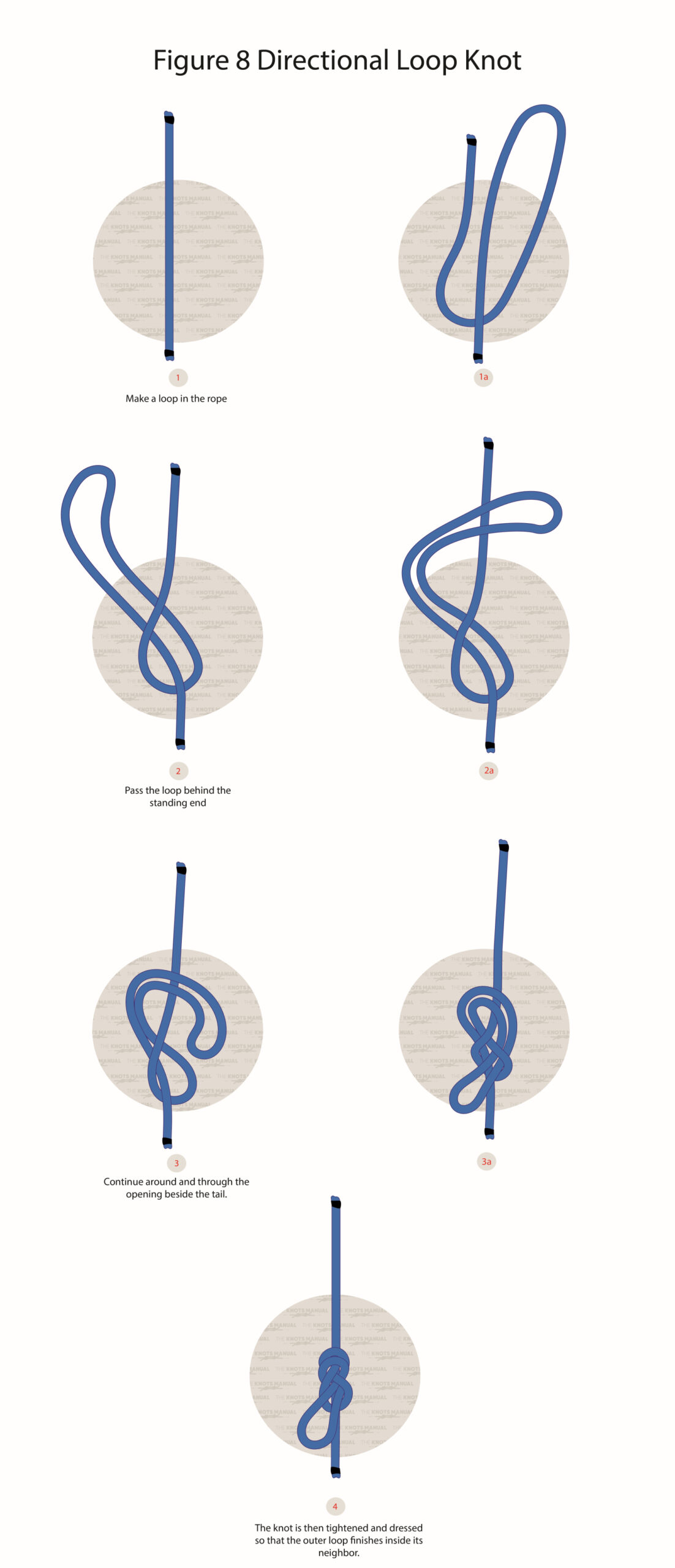 Figure 8 Directional Loop Knot step by step guide