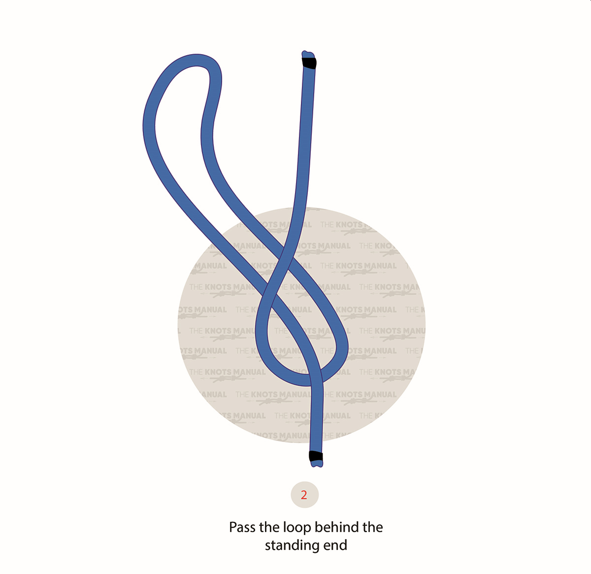 Figure 8 Directional Loop Knot step2