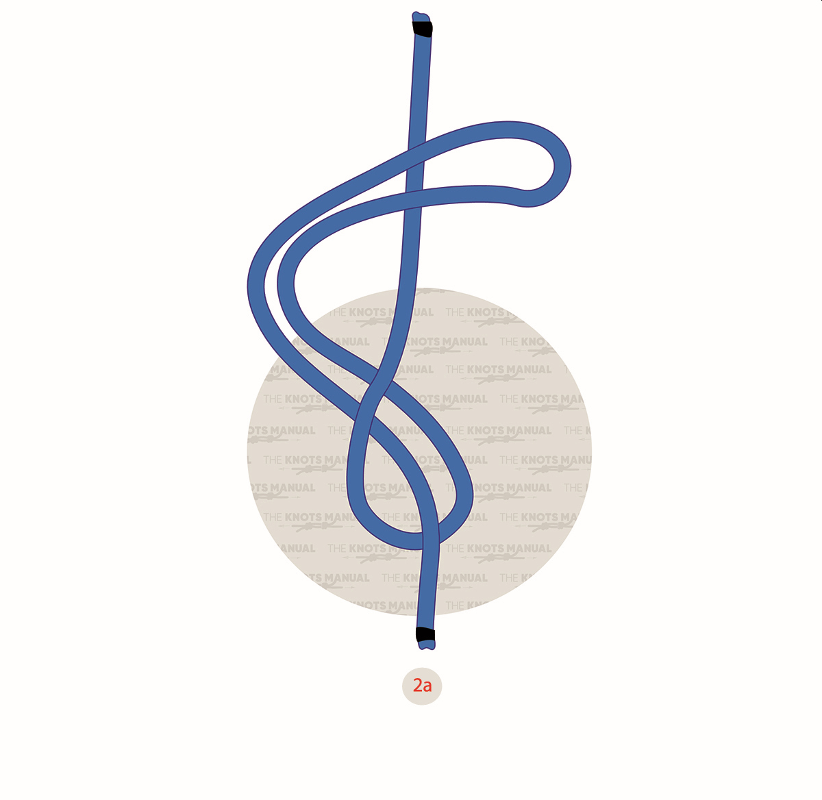 Figure 8 Directional Loop Knot step2a