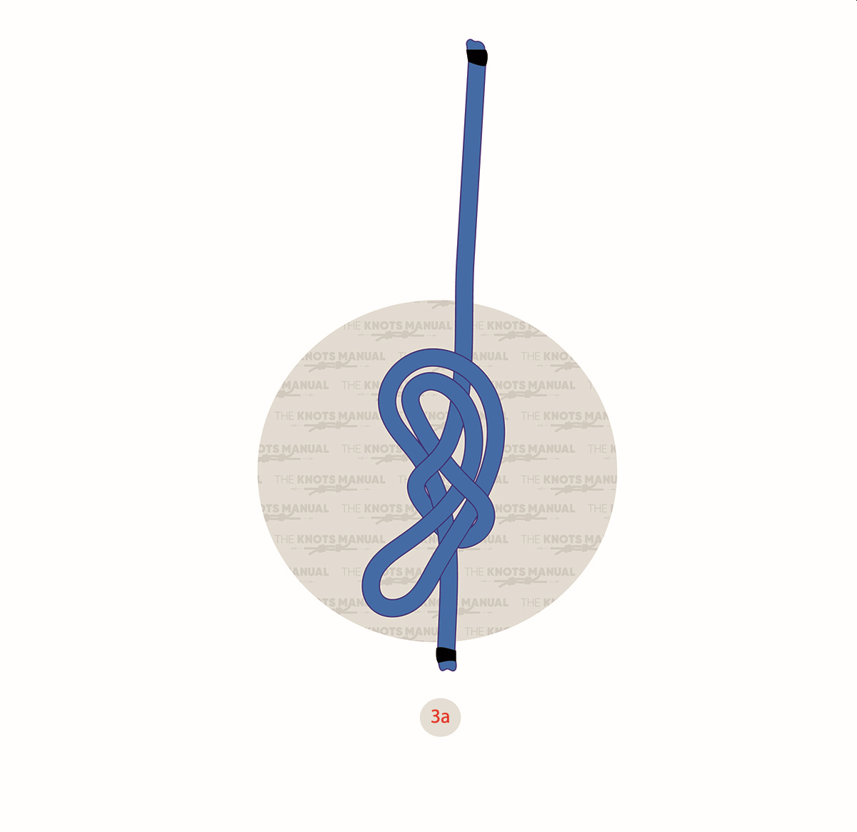 Figure 8 Directional Loop Knot step3a