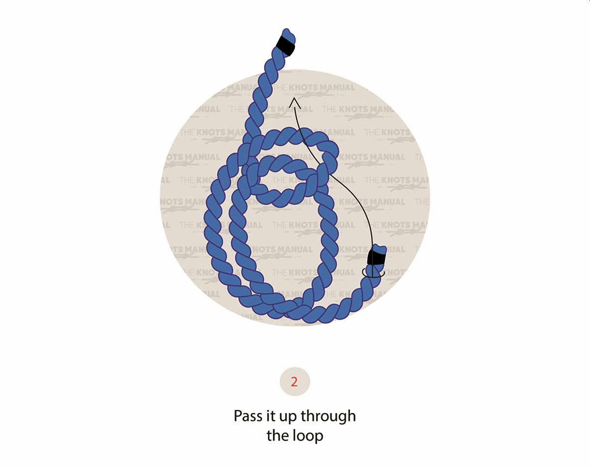 How To Tie A French Bowline Knot