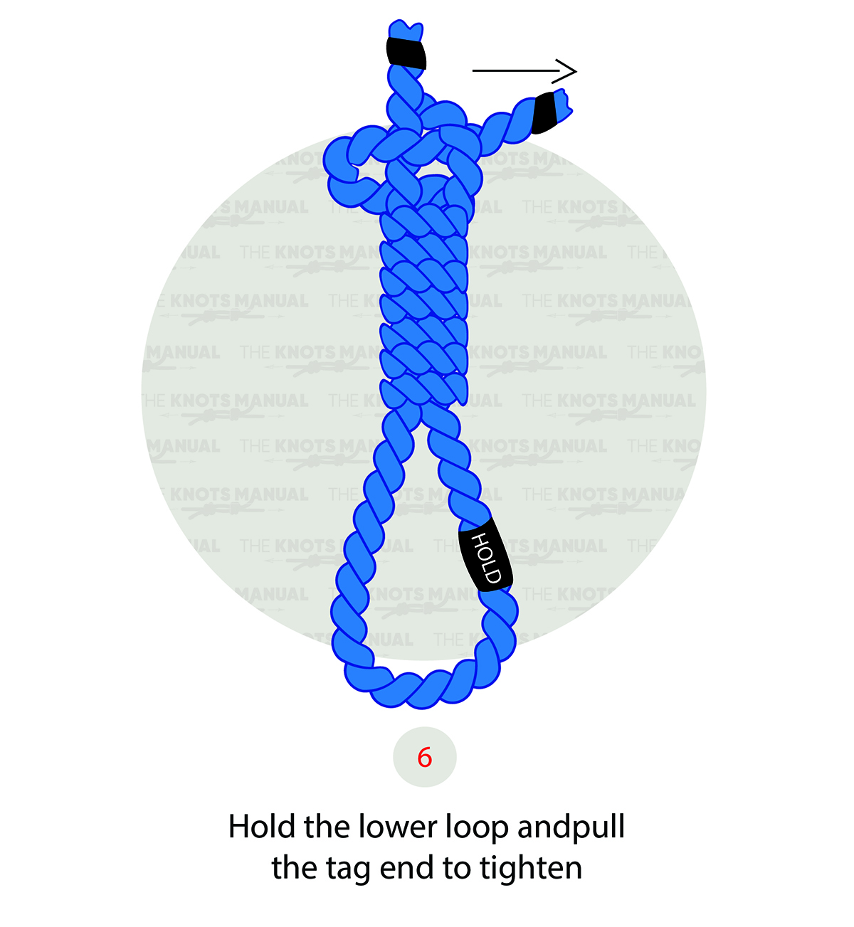 Hangman’s Knot (Noose) Step 6