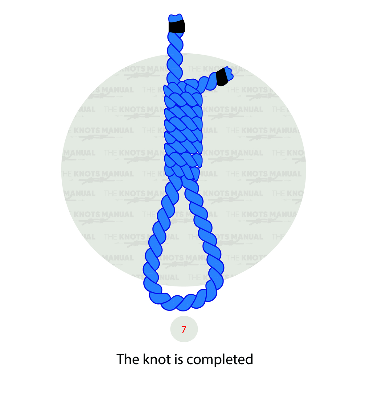 Hangman’s Knot (Noose) Step 7