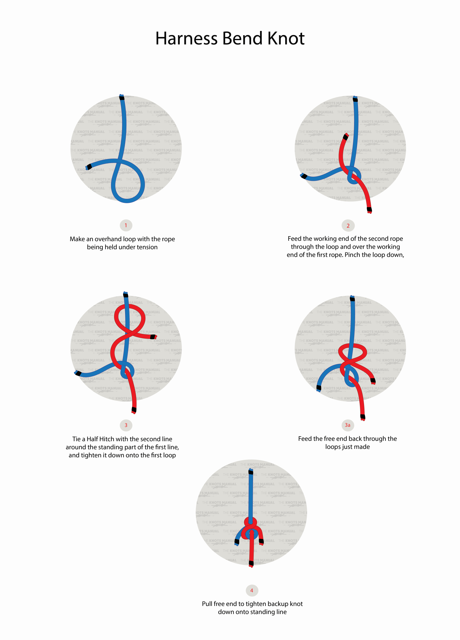 How to Tie a Harness Bend