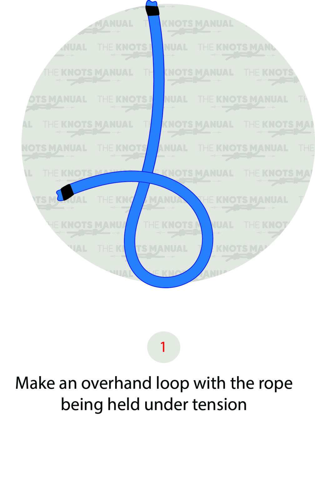 Illustrated Guide How to Tie the Harness Bend Knot