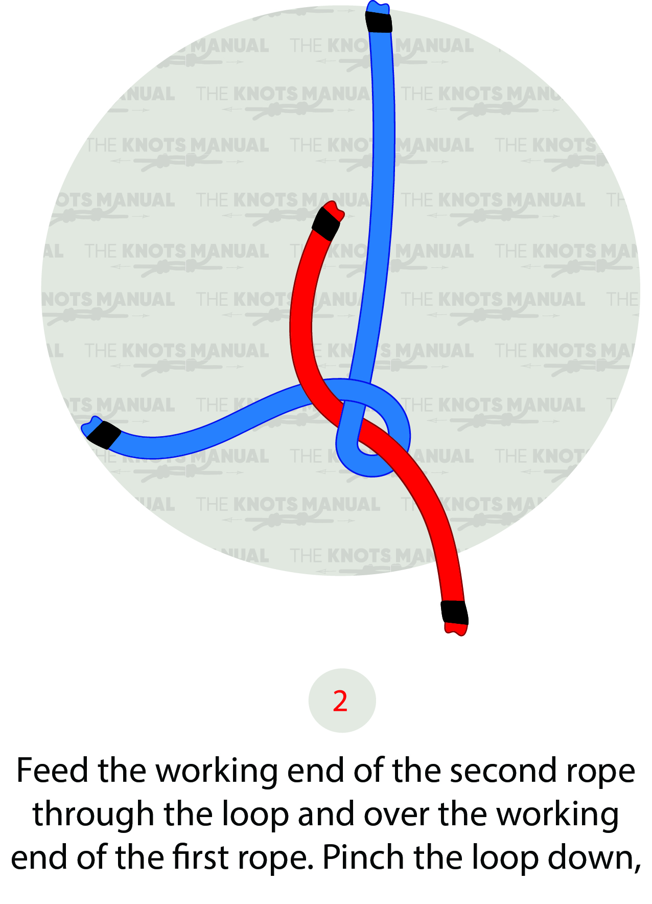 Illustrated Guide: How to Tie the Harness Bend Knot