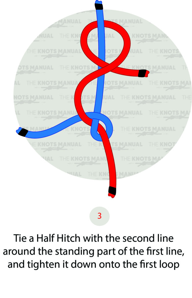 Illustrated Guide How to Tie the Harness Bend Knot