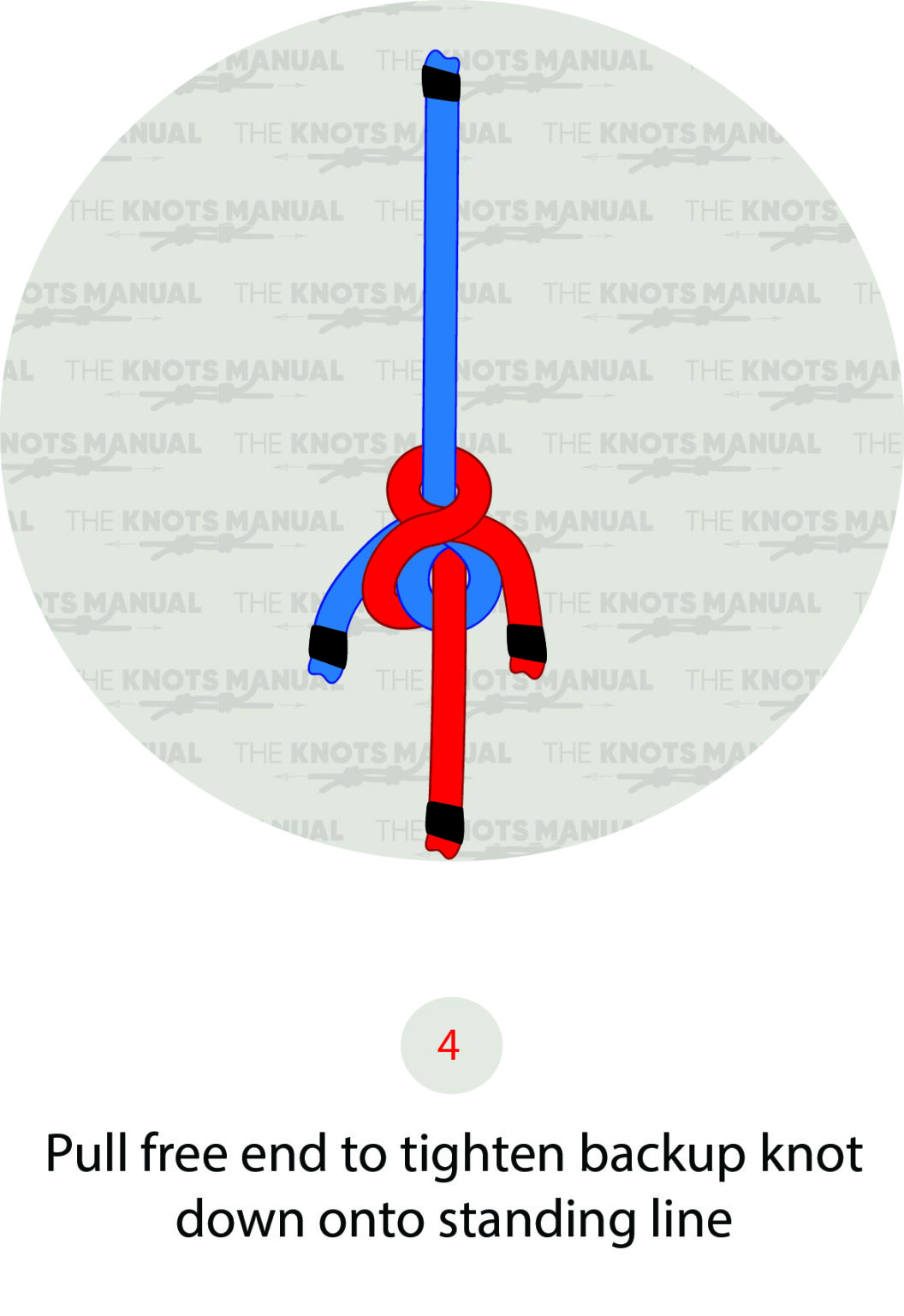 Illustrated Guide How to Tie the Harness Bend Knot