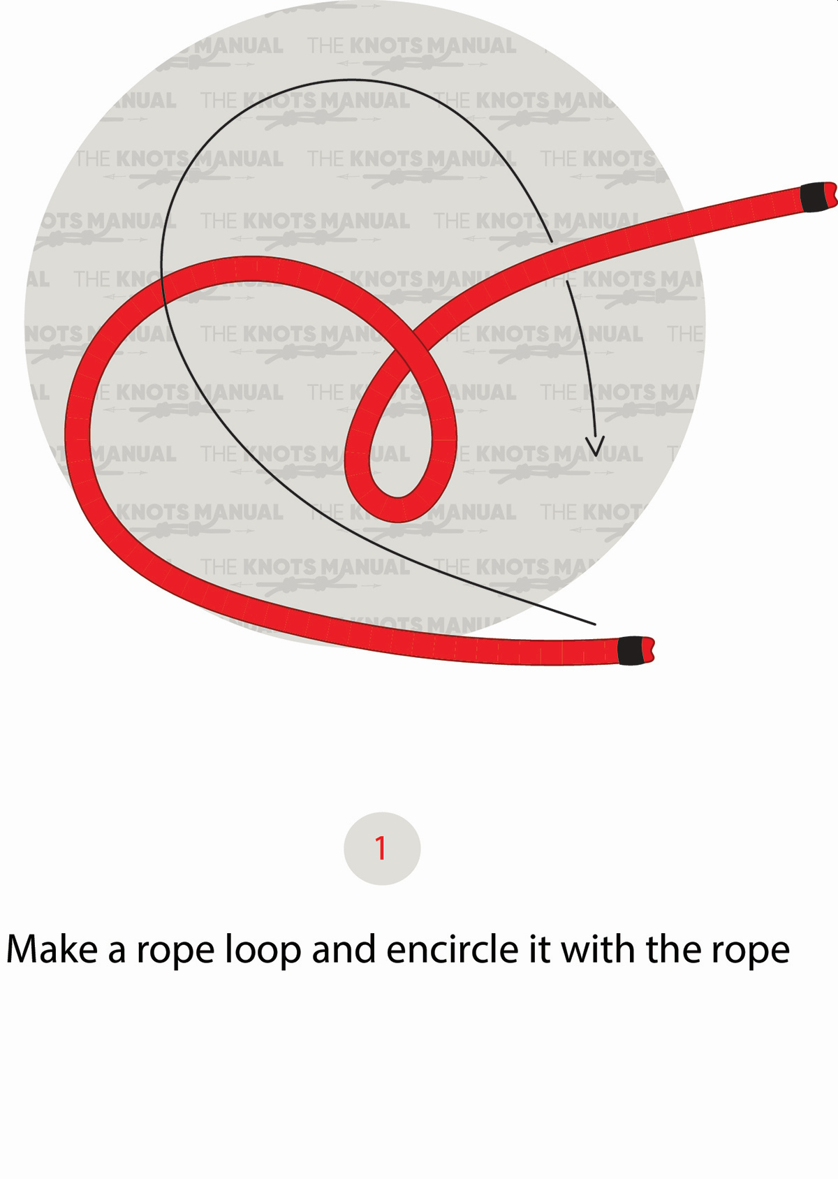 Lanyard Knot Step 1