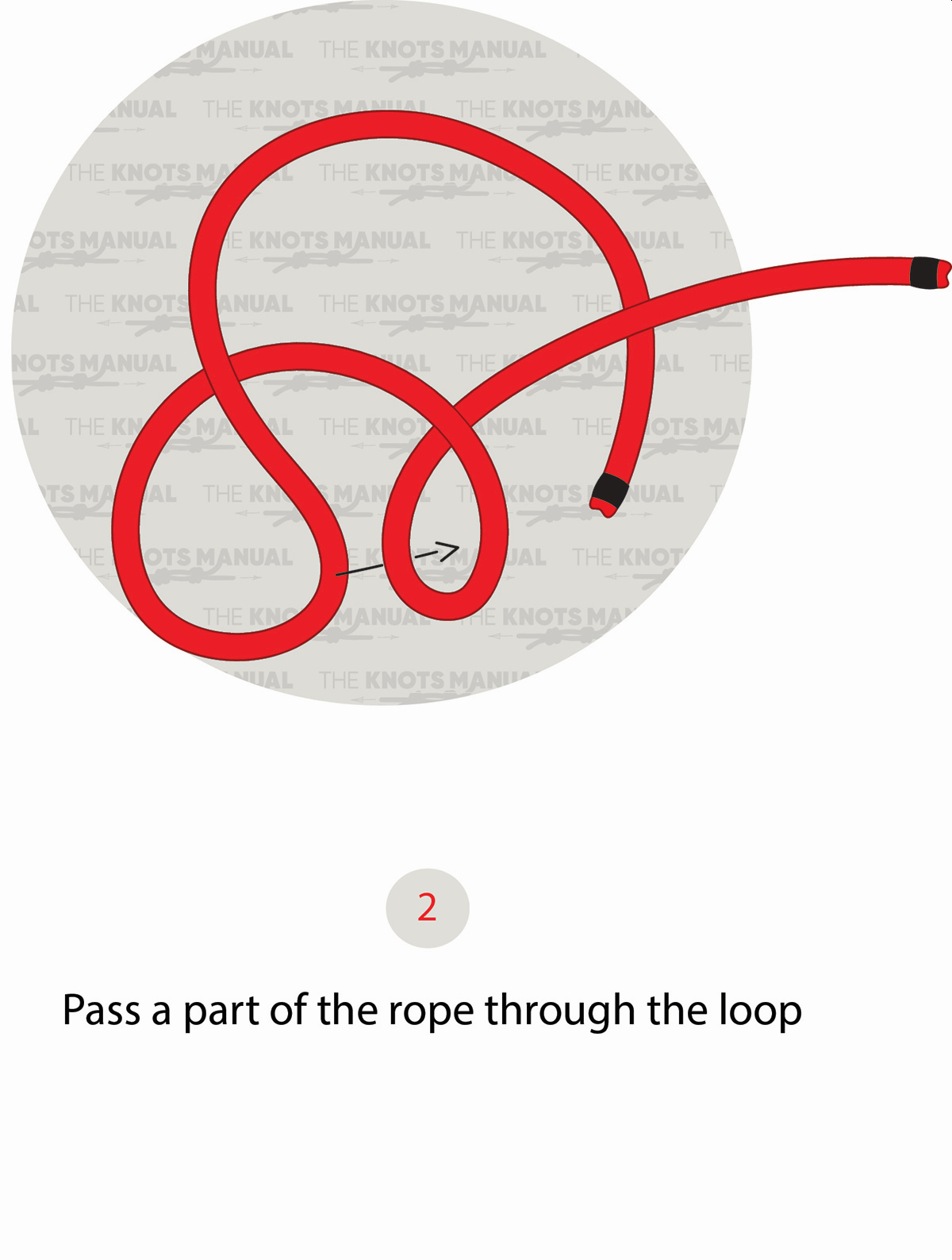 Lanyard Knot Step 2