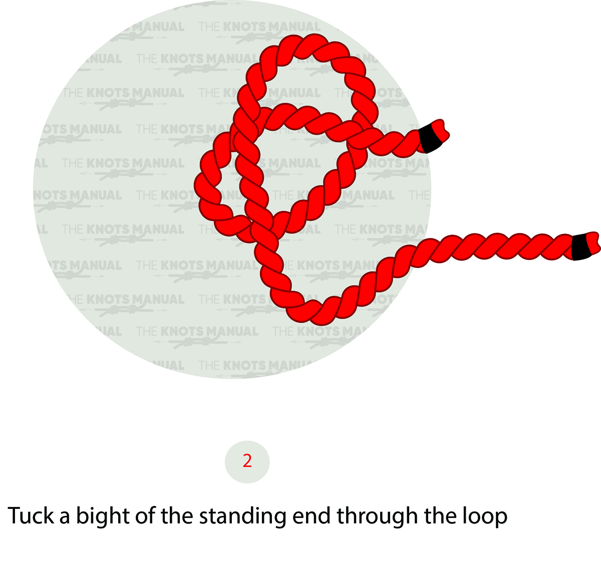 Illustrated Guide: How to Tie a Noose Knot
