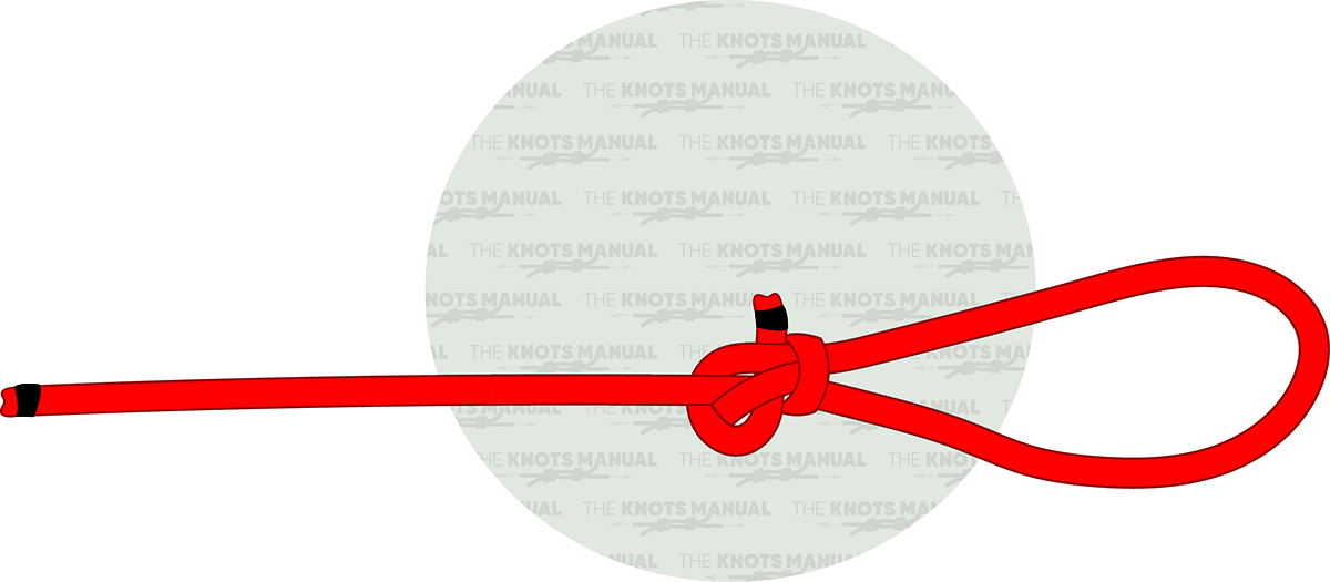 Illustrated Guide: How to Tie a Perfection Loop Knot