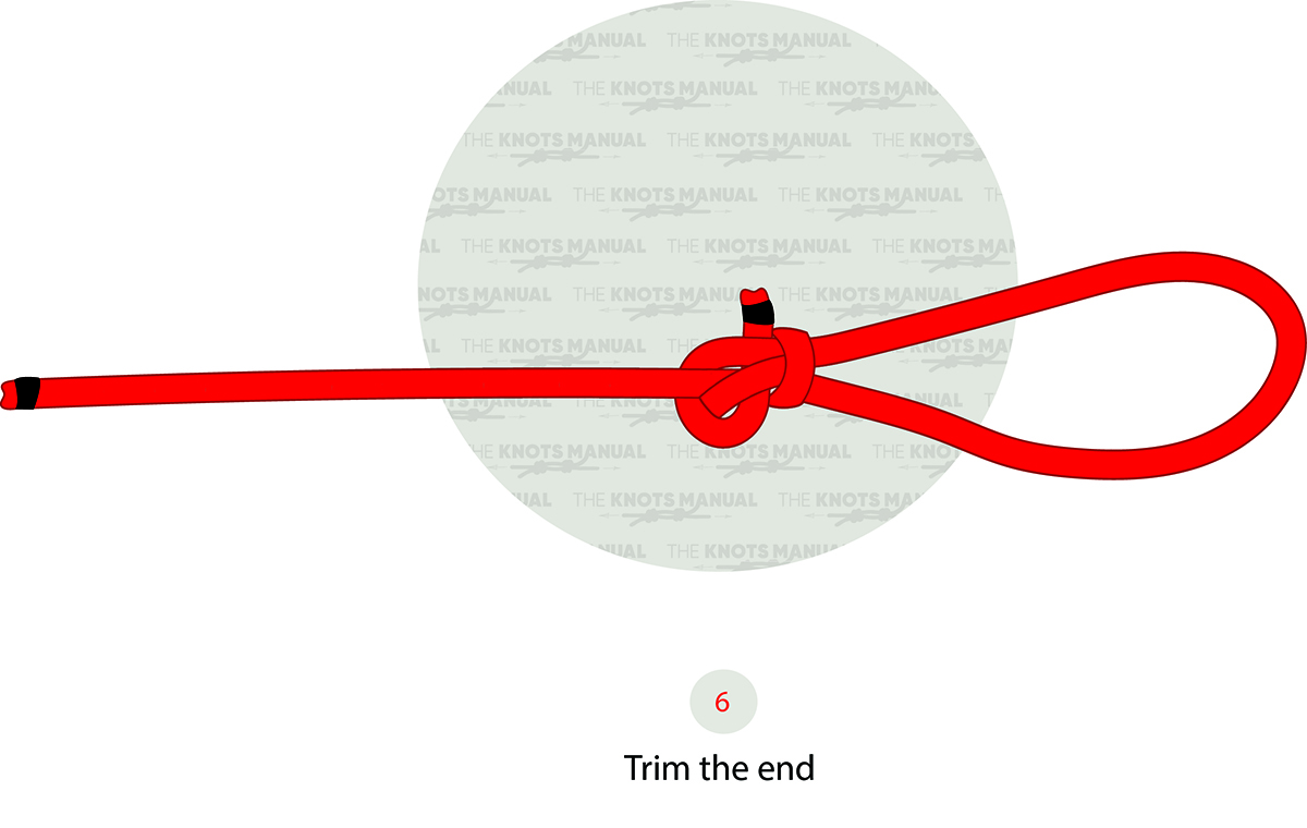 Perfection Loop Knot Step 6