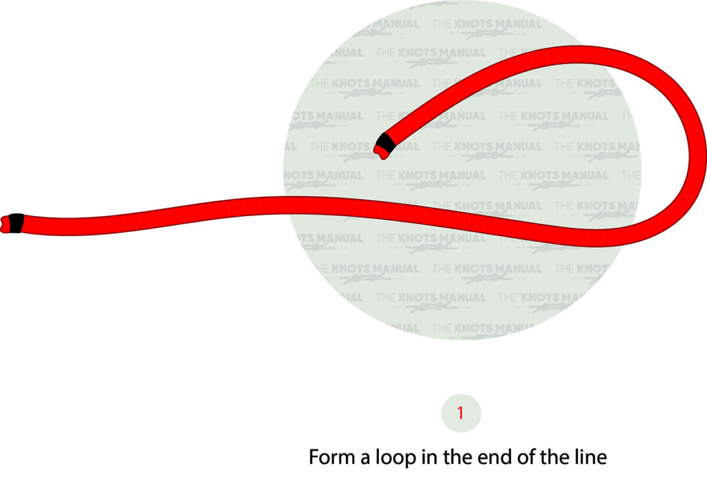 Illustrated Guide How to Tie a Perfection Loop Knot