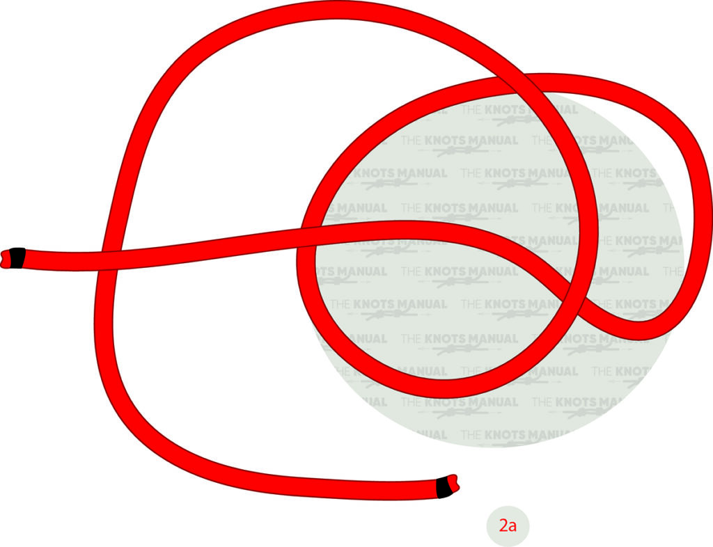 Illustrated Guide How to Tie a Perfection Loop Knot