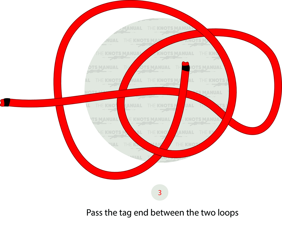 Perfection Loop Knot Step 3