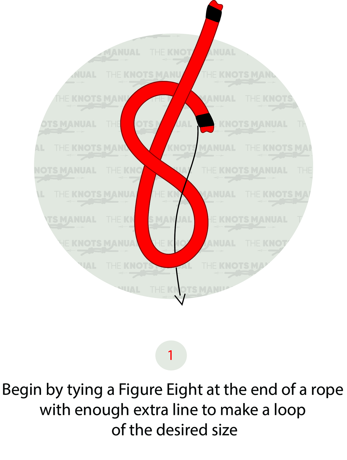 How to Tie a Slippery Eight Loop Knot Step 1