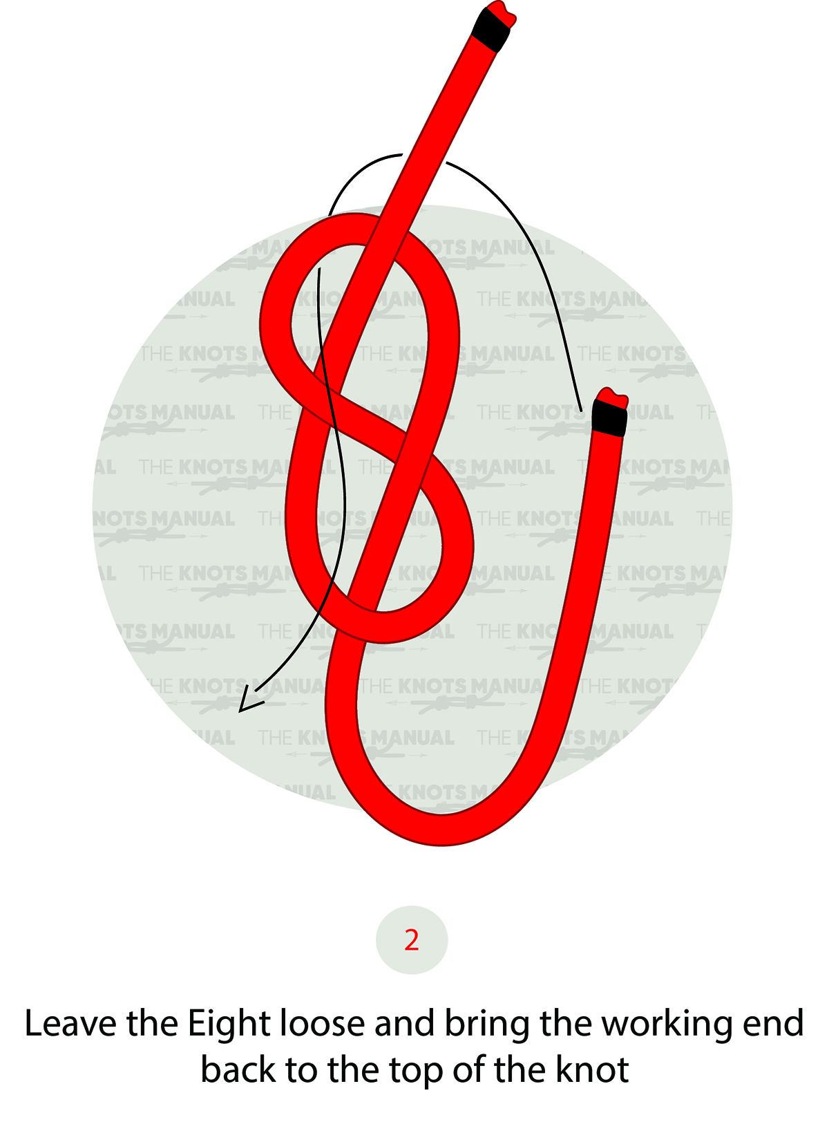How to Tie a Slippery Eight Loop Knot Step 2
