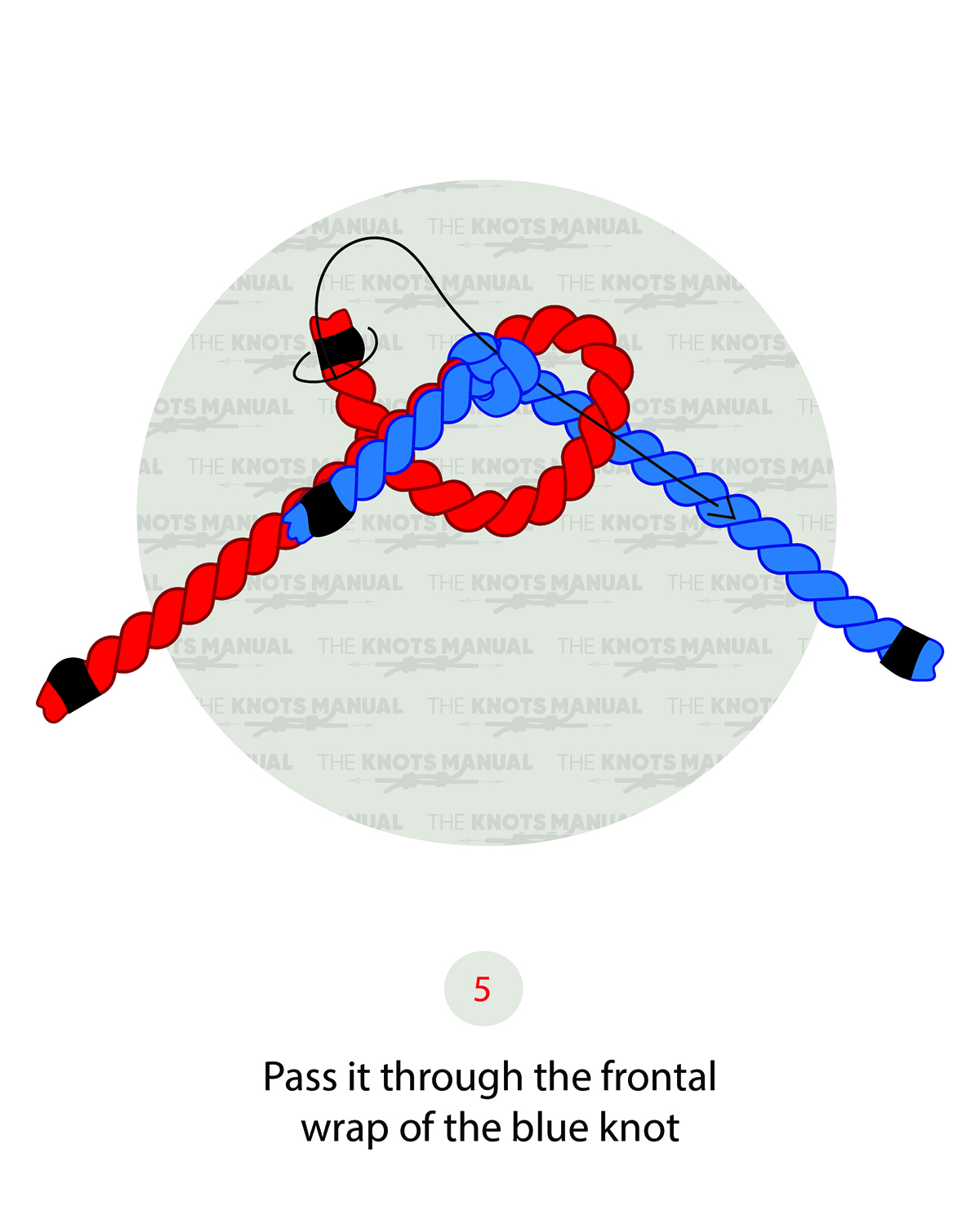 Water Knot Step 5