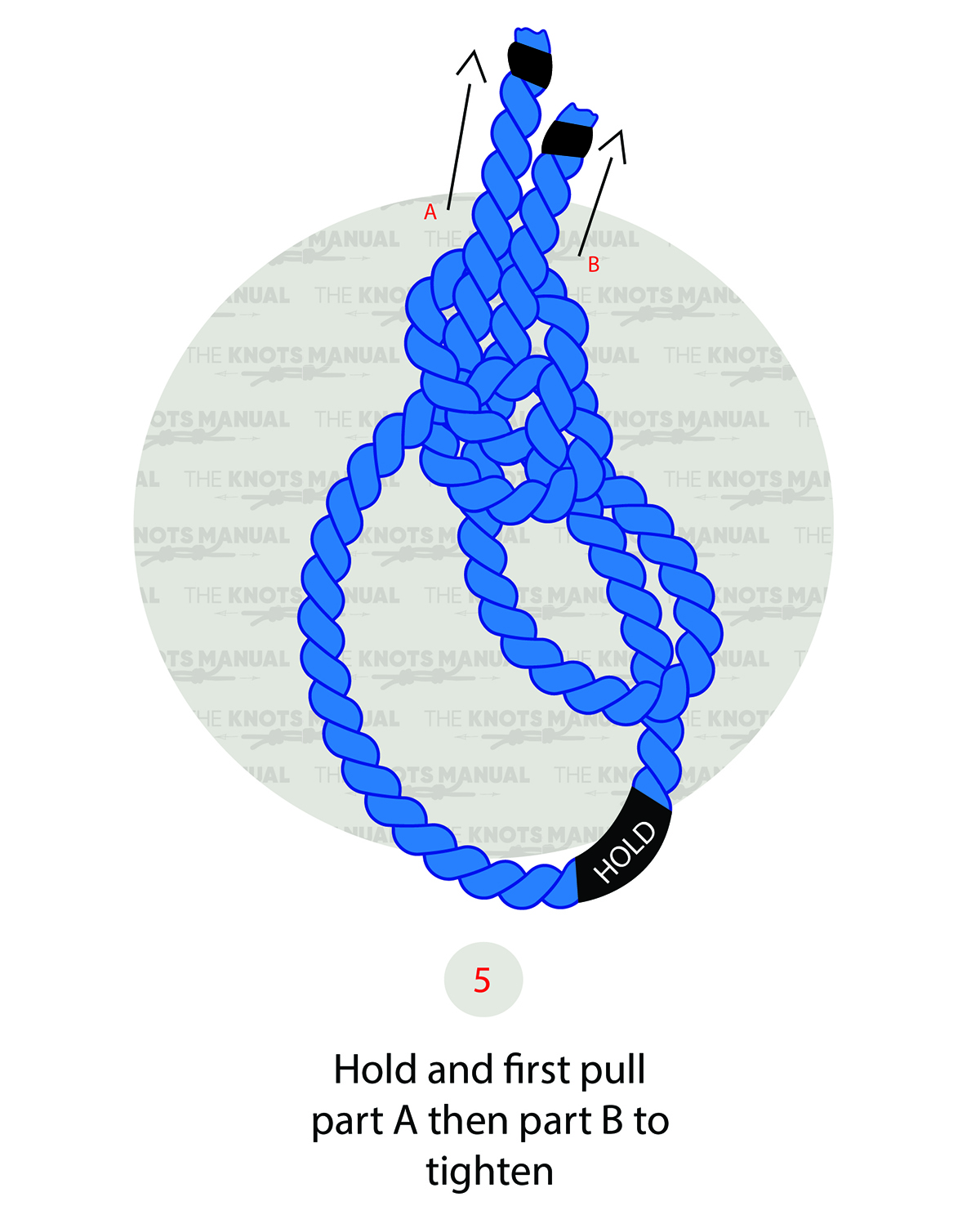 Yosemite Bowline Knot - Step 5