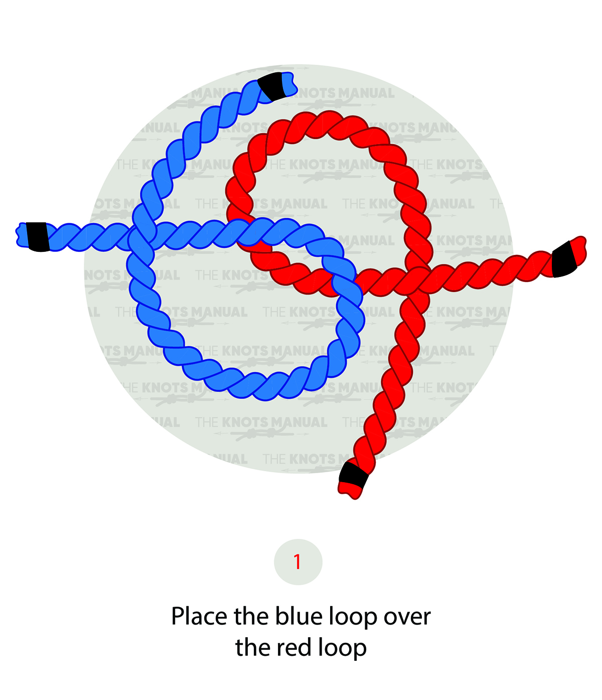Zeppelin Bend Knot step 1