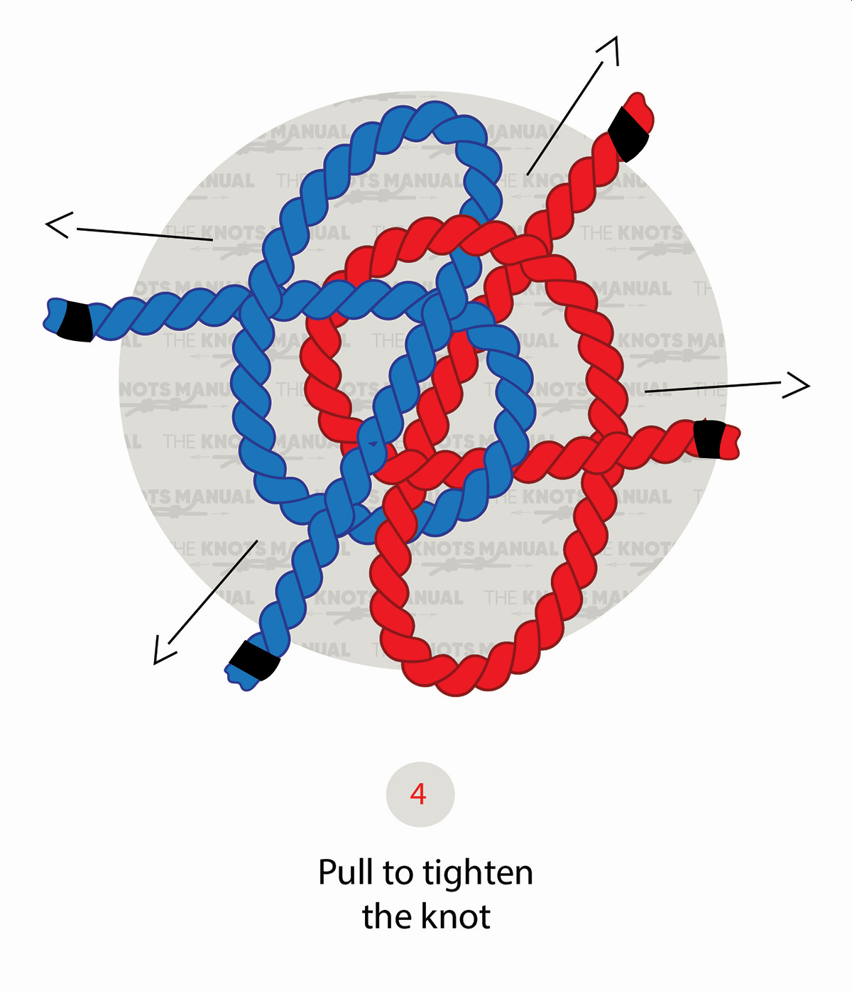 Zeppelin Bend Knot step 4